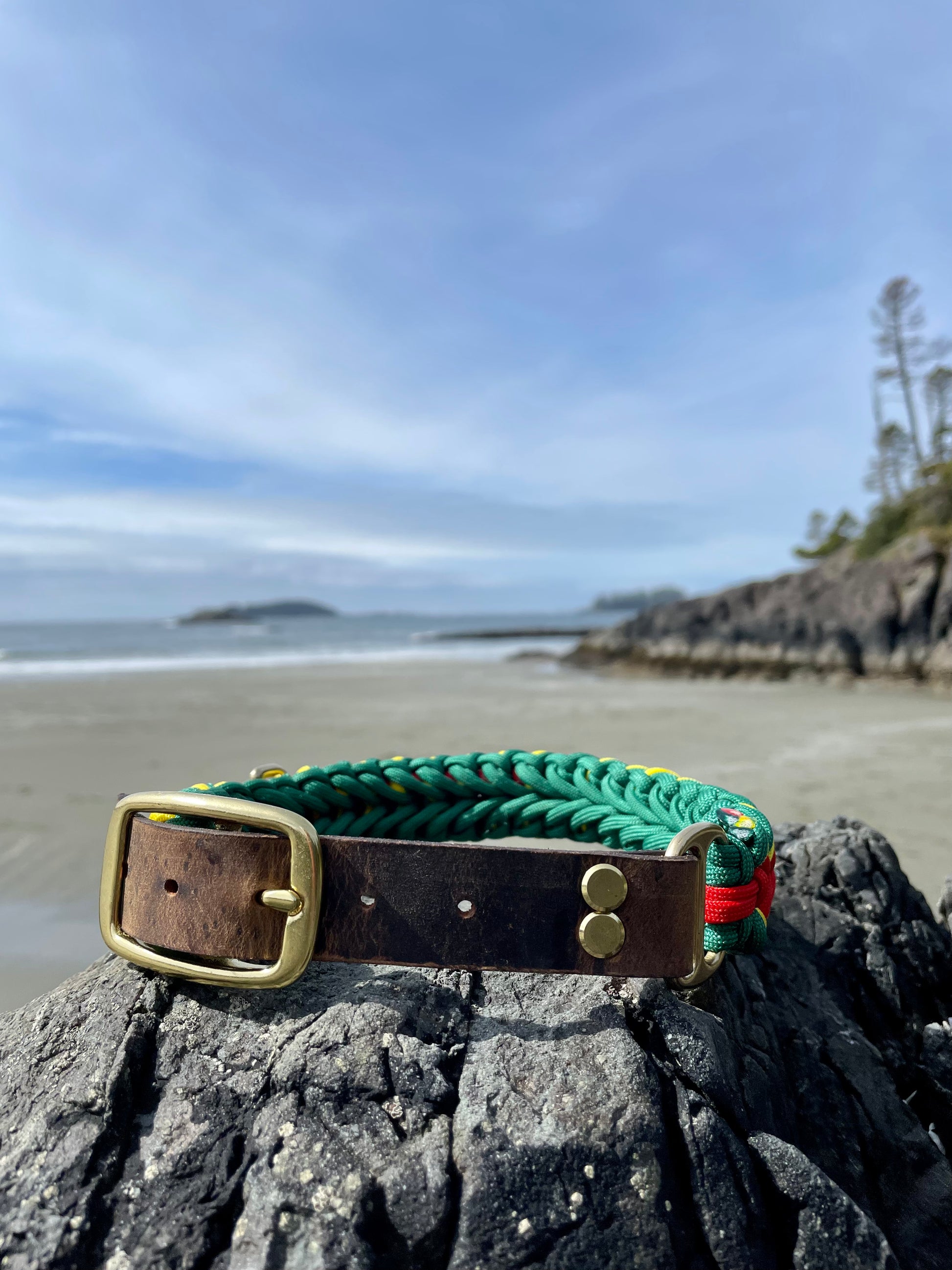 Rasta Paracord Dog Collar with Gold Hardware On Driftwood In Tofino