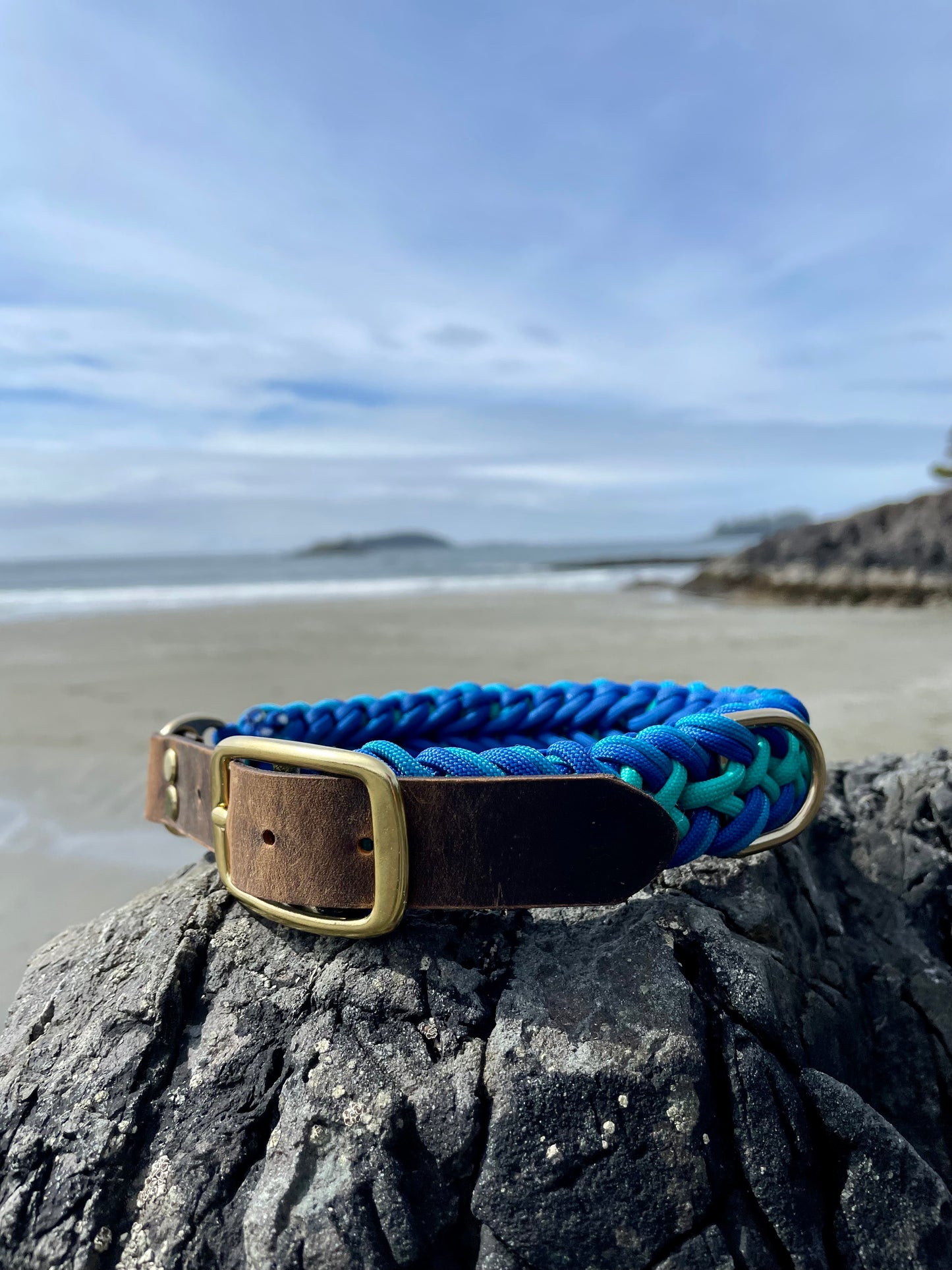 Premium Teal and Blue Paracord Dog Collar with Gold hardware and leather or Biothane belt On Beach In Tofino