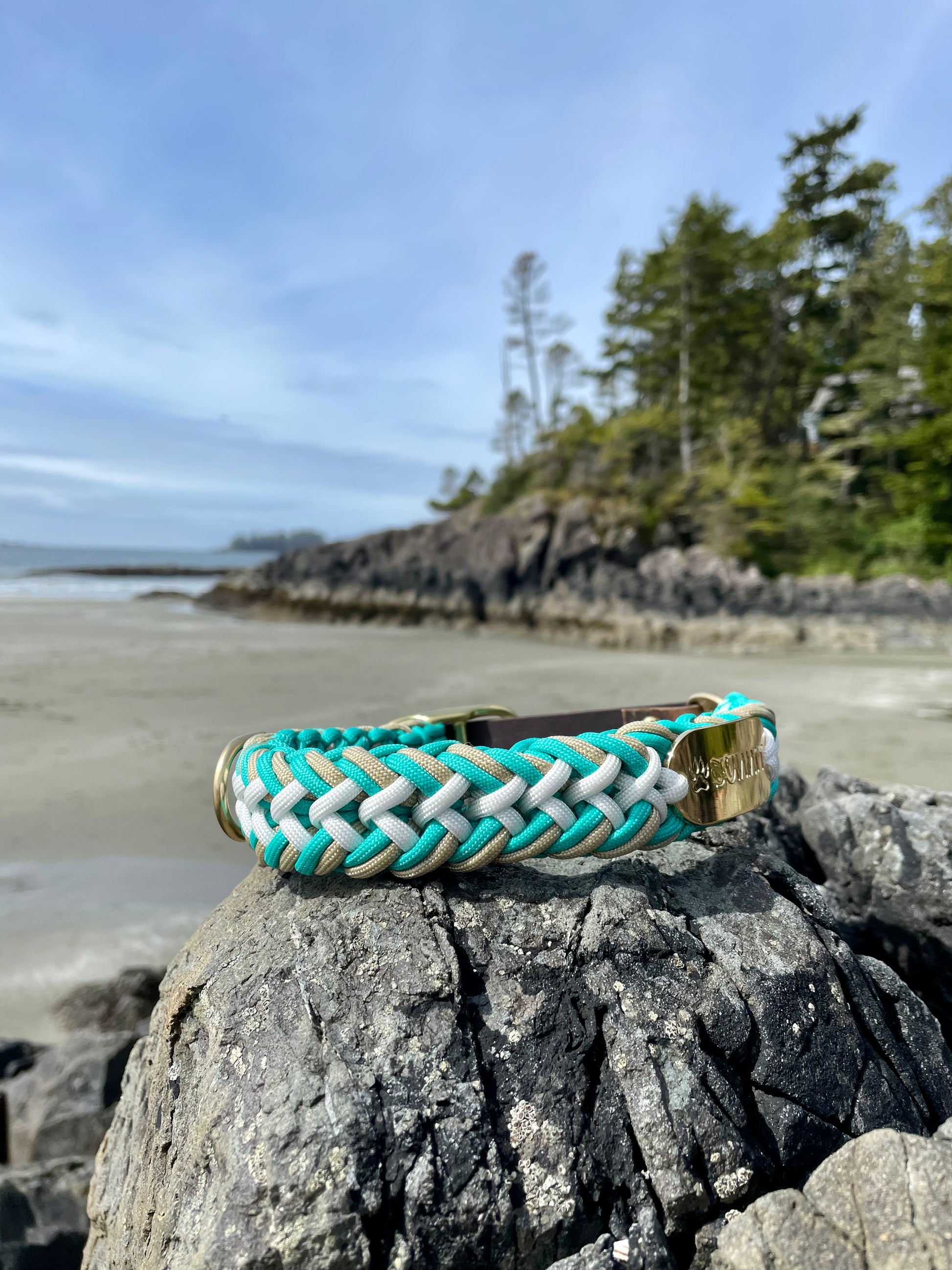 Beautiful Teal Paracord Dog Collar With Gold Hardware and leather or biothane belt