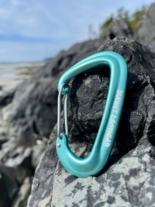 Carabiner clip for leashes to be in teal