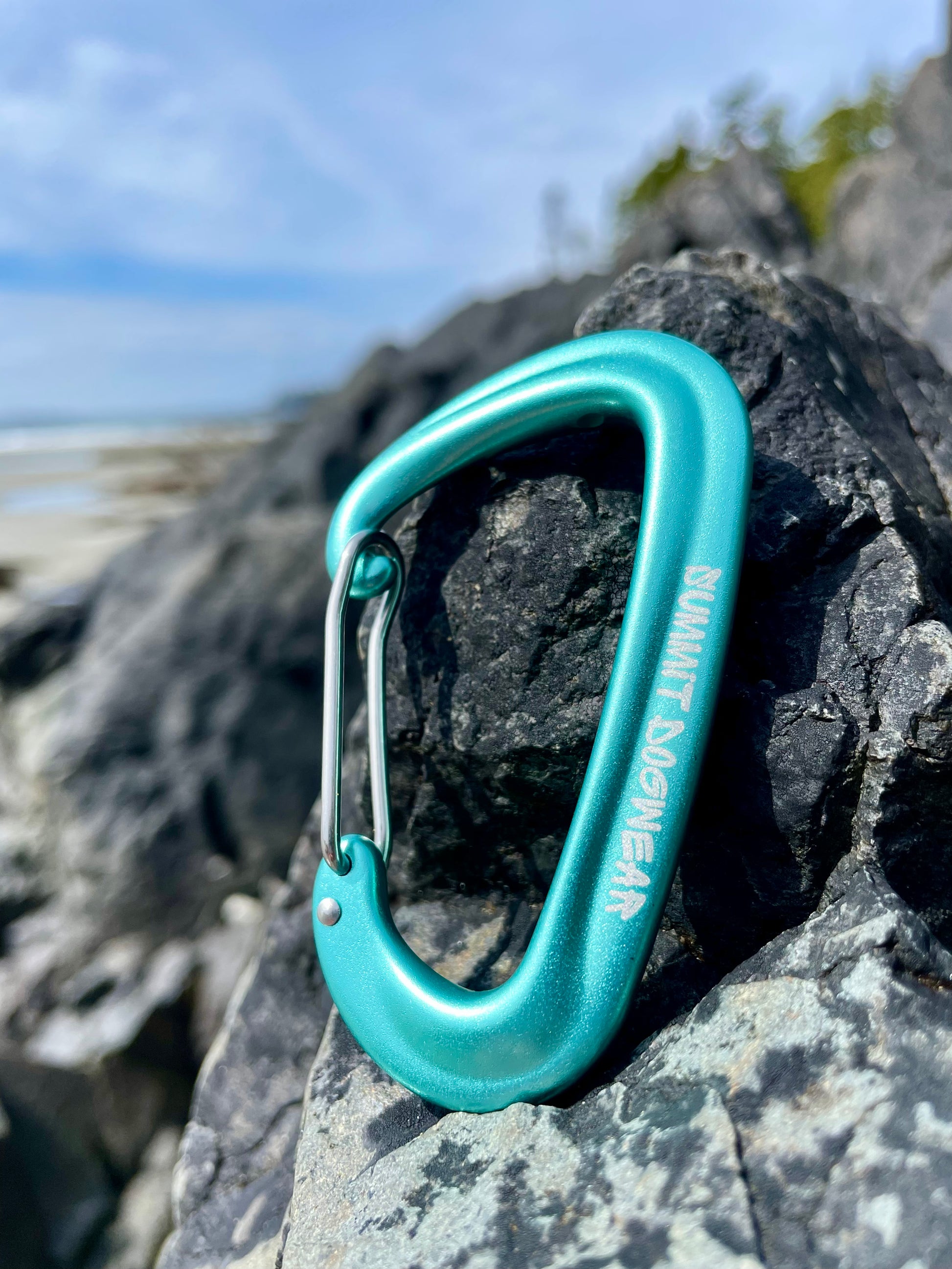 Carabiner clip for leashes to be in teal