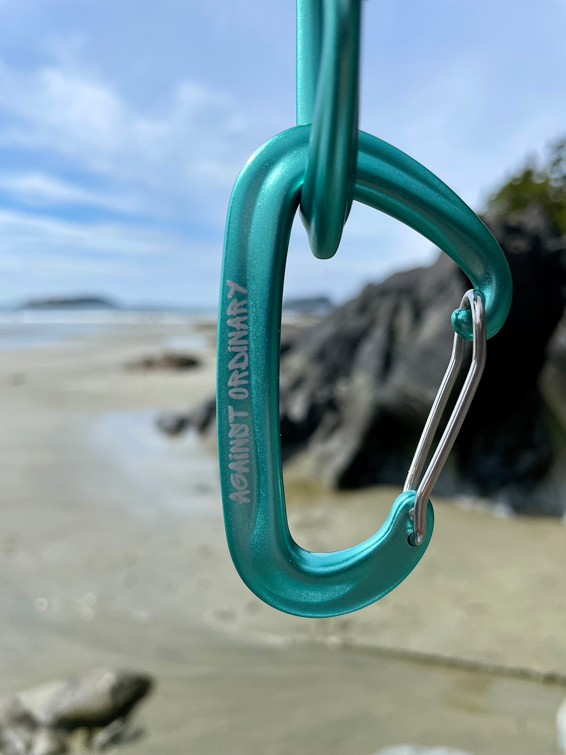 Carabiner clip for leashes to be in teal
