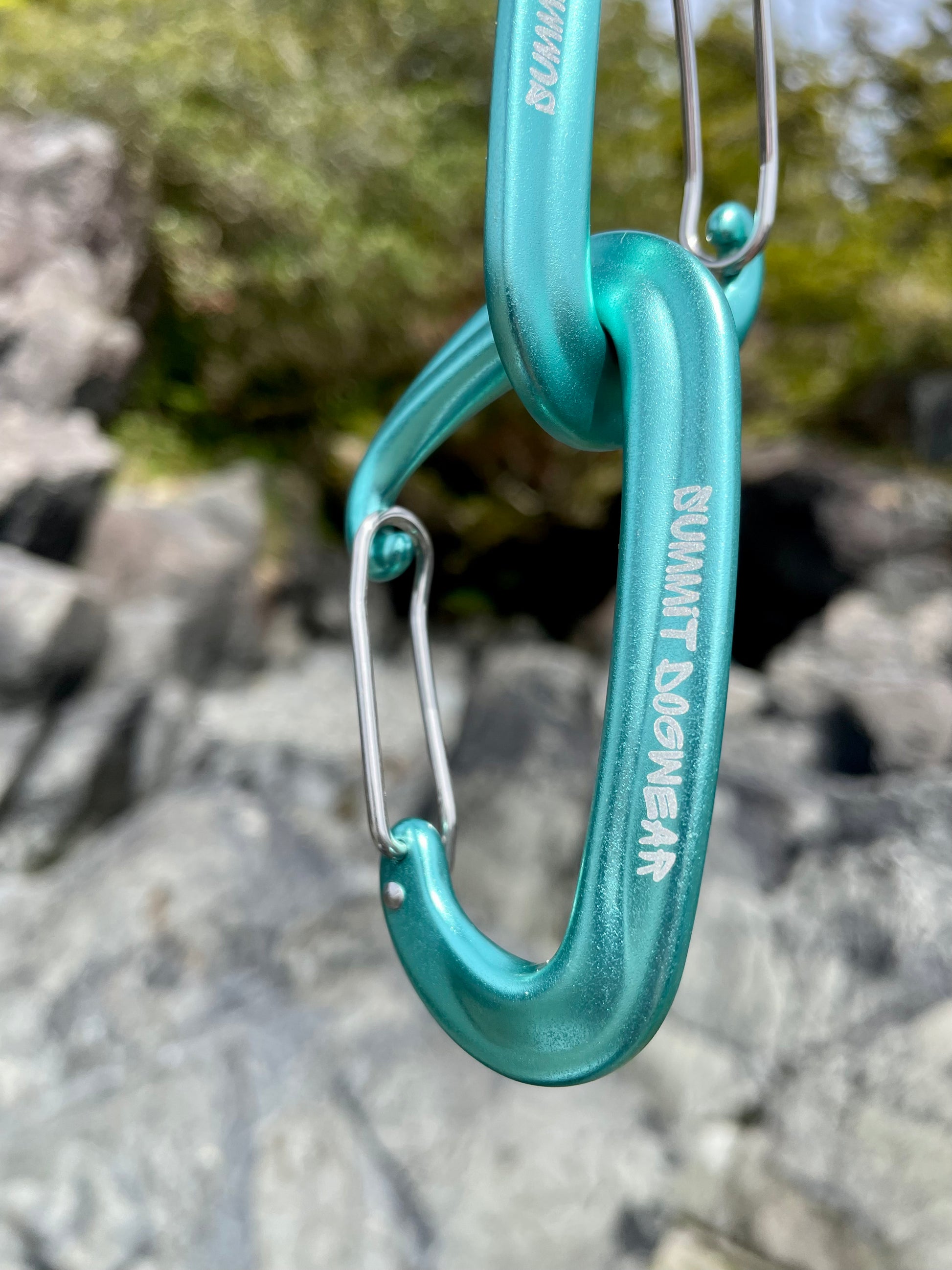 Carabiner clip for leashes to be in teal