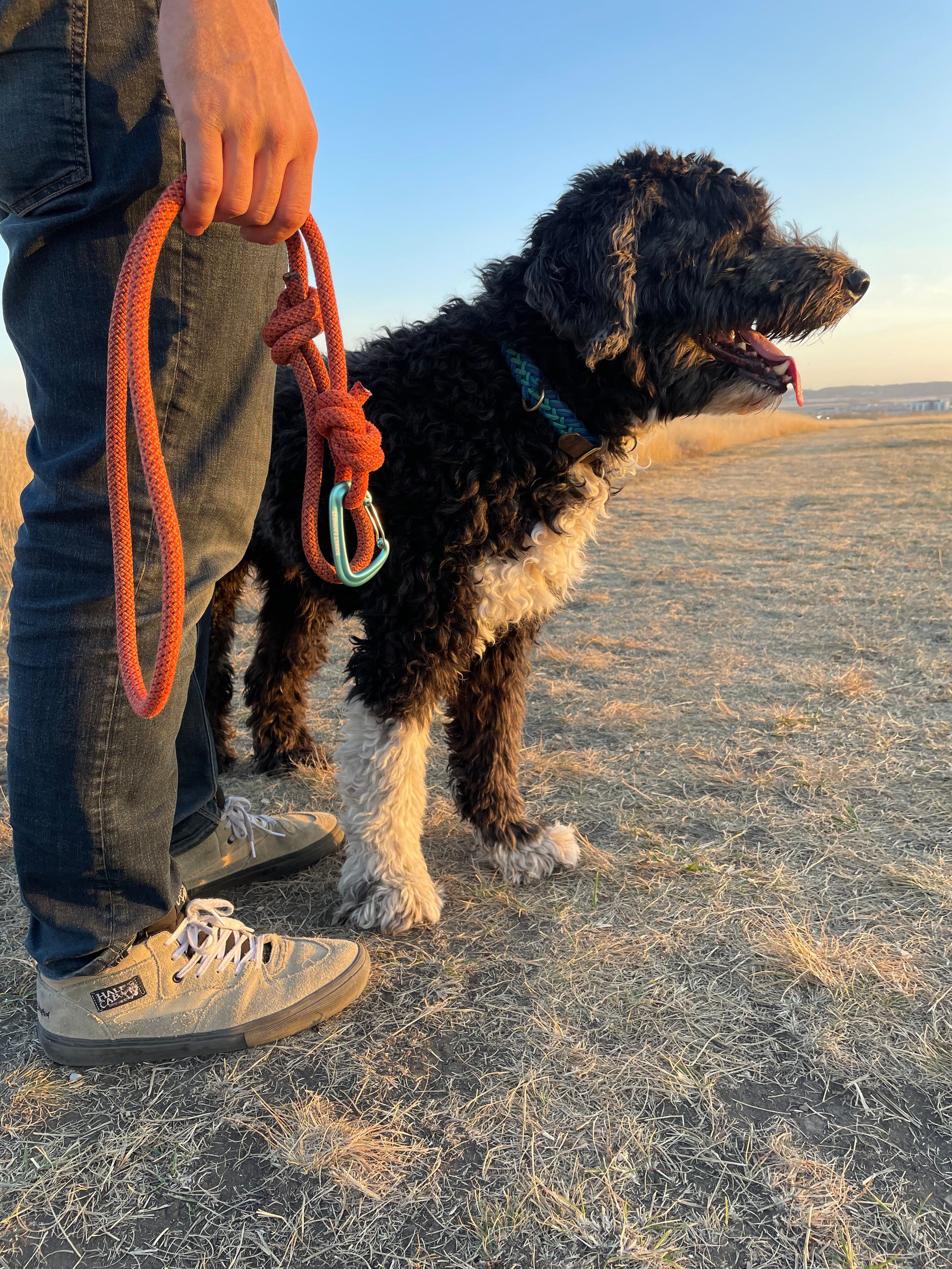 Rope Long Leash made from Upcycled Climbing Rope In Canada