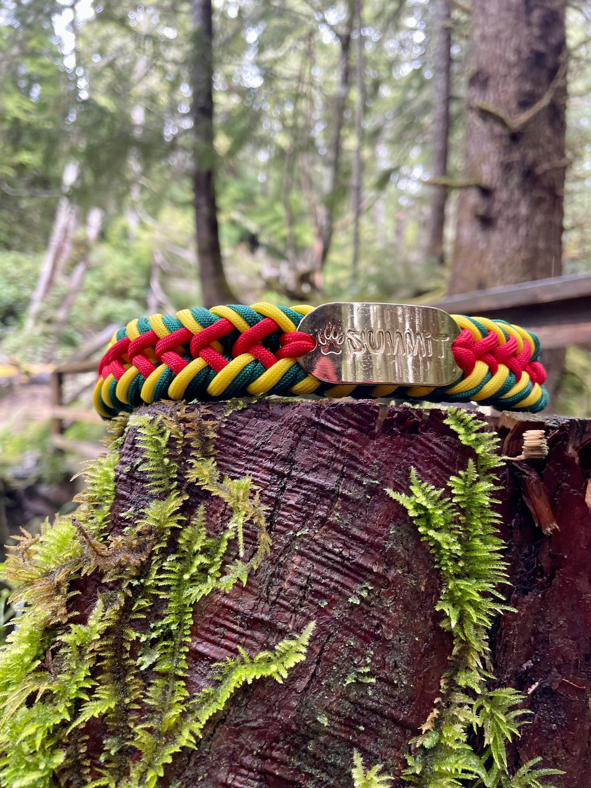 Rasta Paracord Dog Collar with Gold Hardware On Driftwood In Tofino