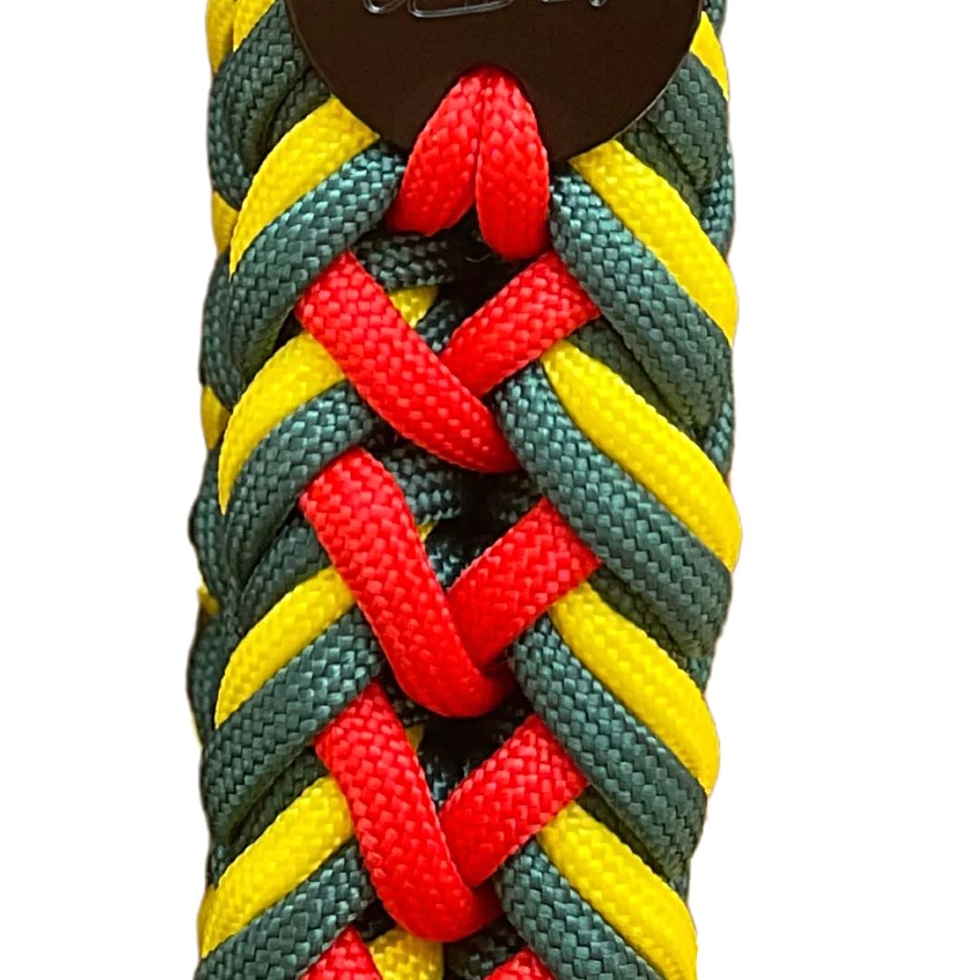 Premium Tactical Paracord Dog Collar in Rasta